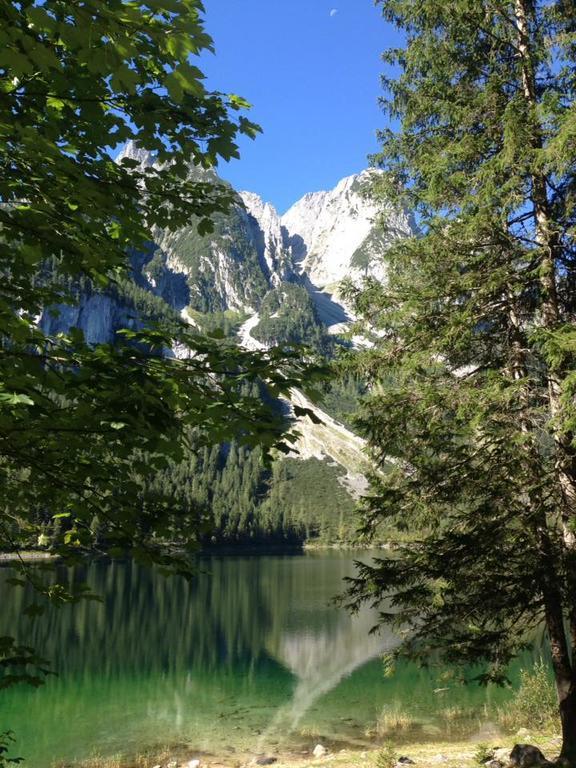 Pension Edelweiss Appartement Wimmer Gosau Esterno foto