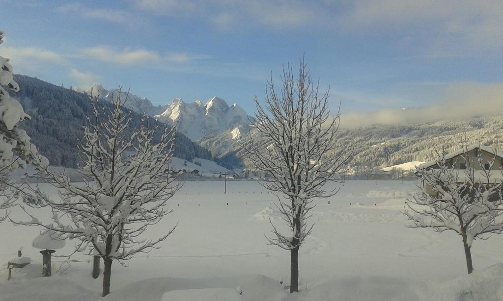Pension Edelweiss Appartement Wimmer Gosau Esterno foto