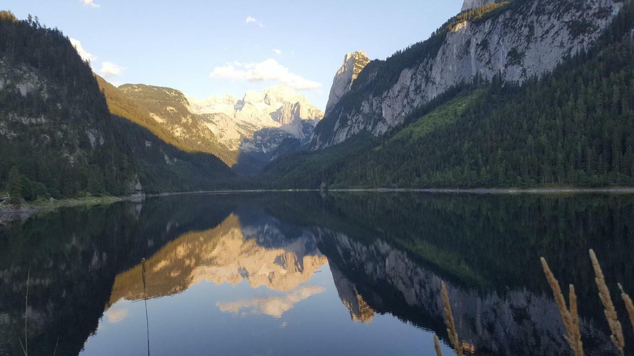 Pension Edelweiss Appartement Wimmer Gosau Esterno foto