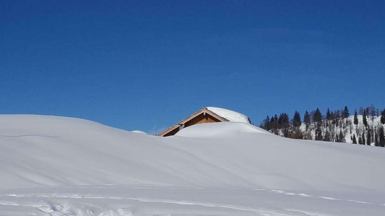 Pension Edelweiss Appartement Wimmer Gosau Esterno foto