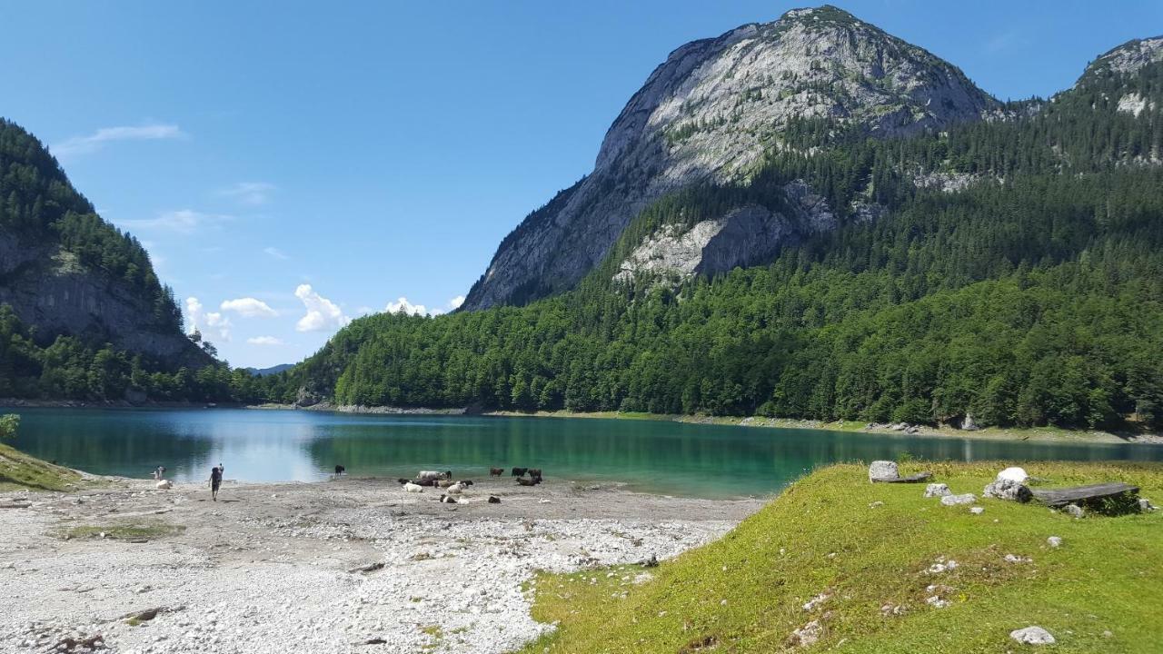 Pension Edelweiss Appartement Wimmer Gosau Esterno foto