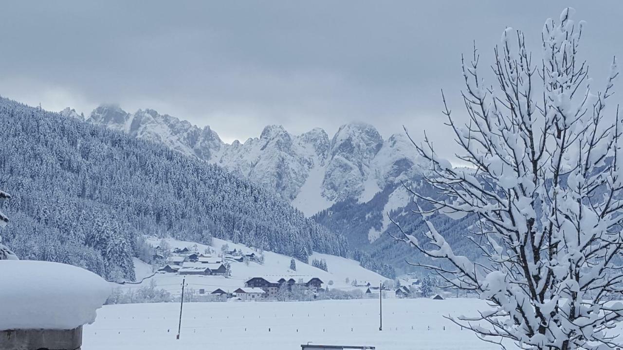 Pension Edelweiss Appartement Wimmer Gosau Esterno foto